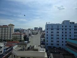 Sunflower Regency (D14), Apartment #545285751